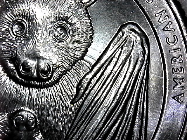 Die-Crack-?-On-The-New-2020-Samoa-Quarter