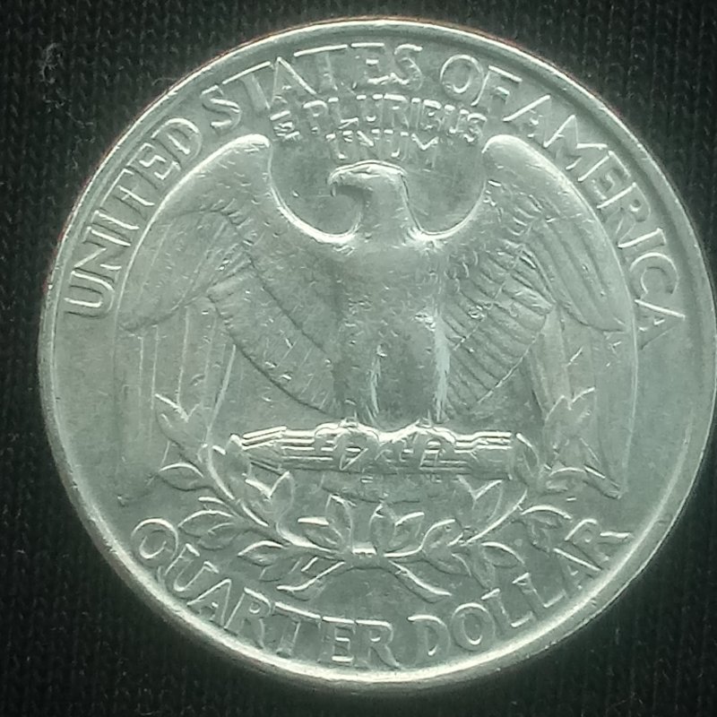 1984-What-This-Called-?