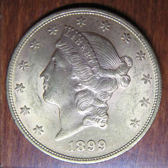 Need-Help-On-This-1899-Liberty-Head-$20