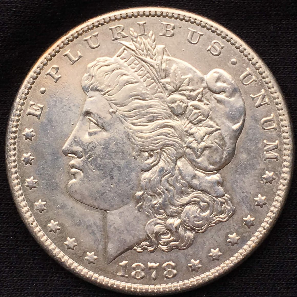 1878-Morgan-Dollar-Opinion-Request