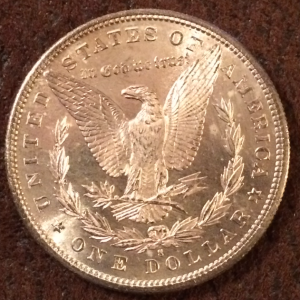 Found-Another-One,-Morgan-Dollar