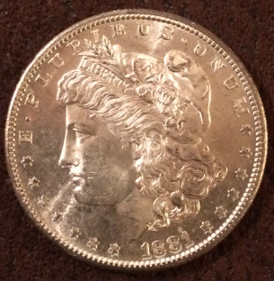 Found-Another-One,-Morgan-Dollar