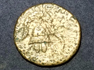 Help-Gold-Coin,-Origin-Unknown!