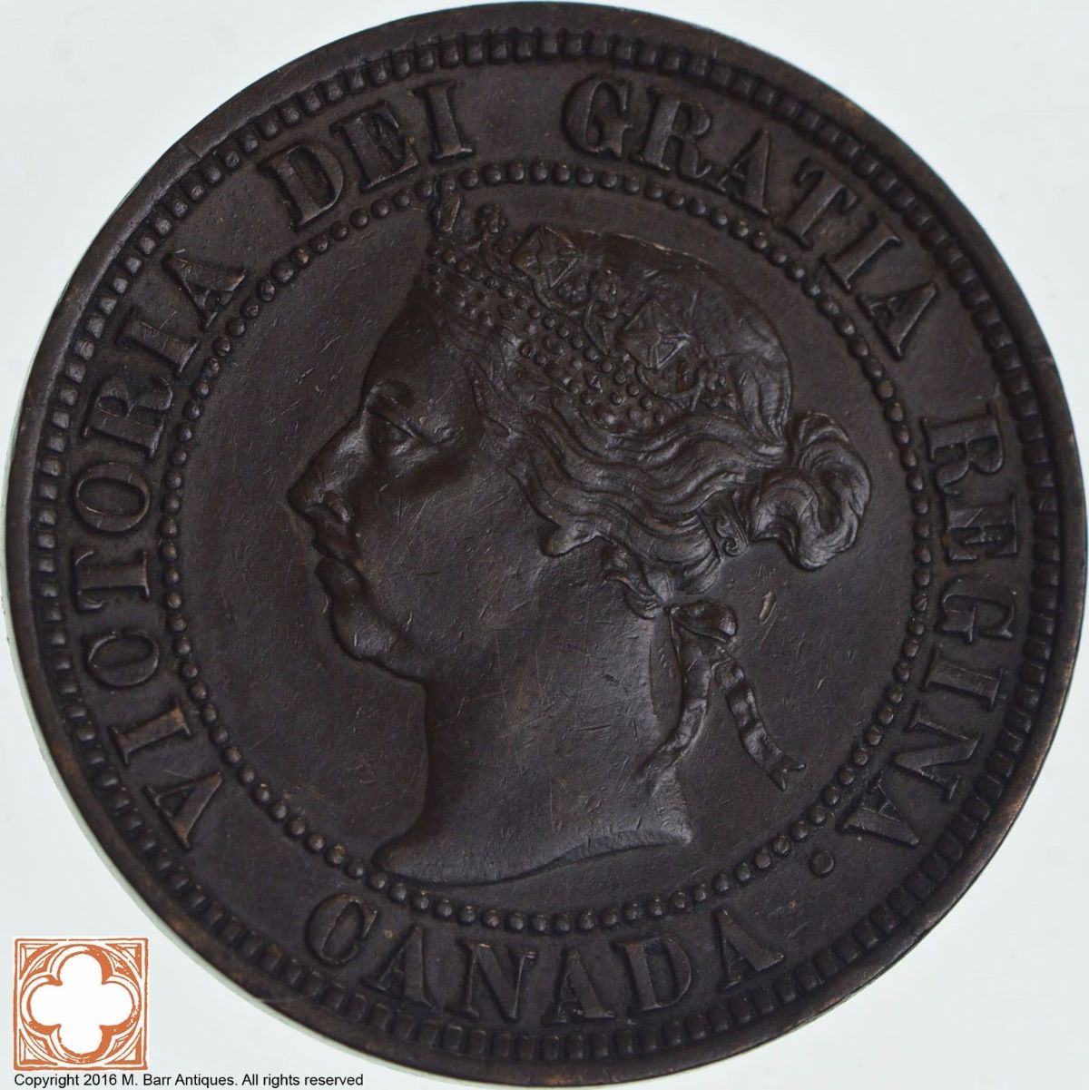 Newly-Purchased-1891-Large-Cent.