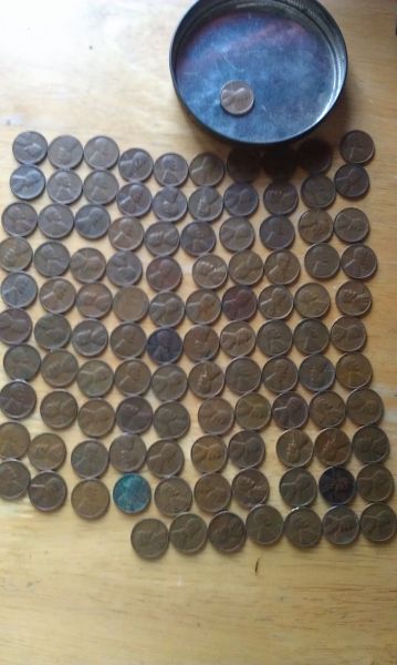 First-Time-Hunting-Through-Rolls-In-20-Years