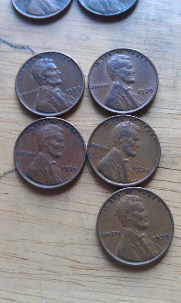 First-Time-Hunting-Through-Rolls-In-20-Years