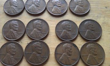 First-Time-Hunting-Through-Rolls-In-20-Years
