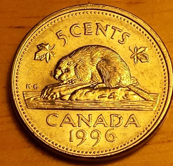 Canadian-Roll-Hunting