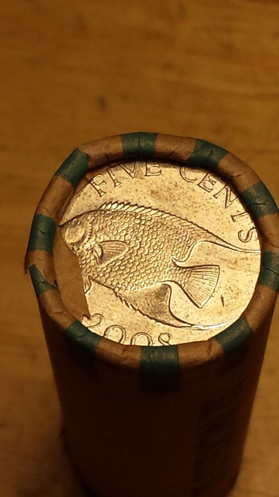 Pictures-Of-End-Roll-Finds