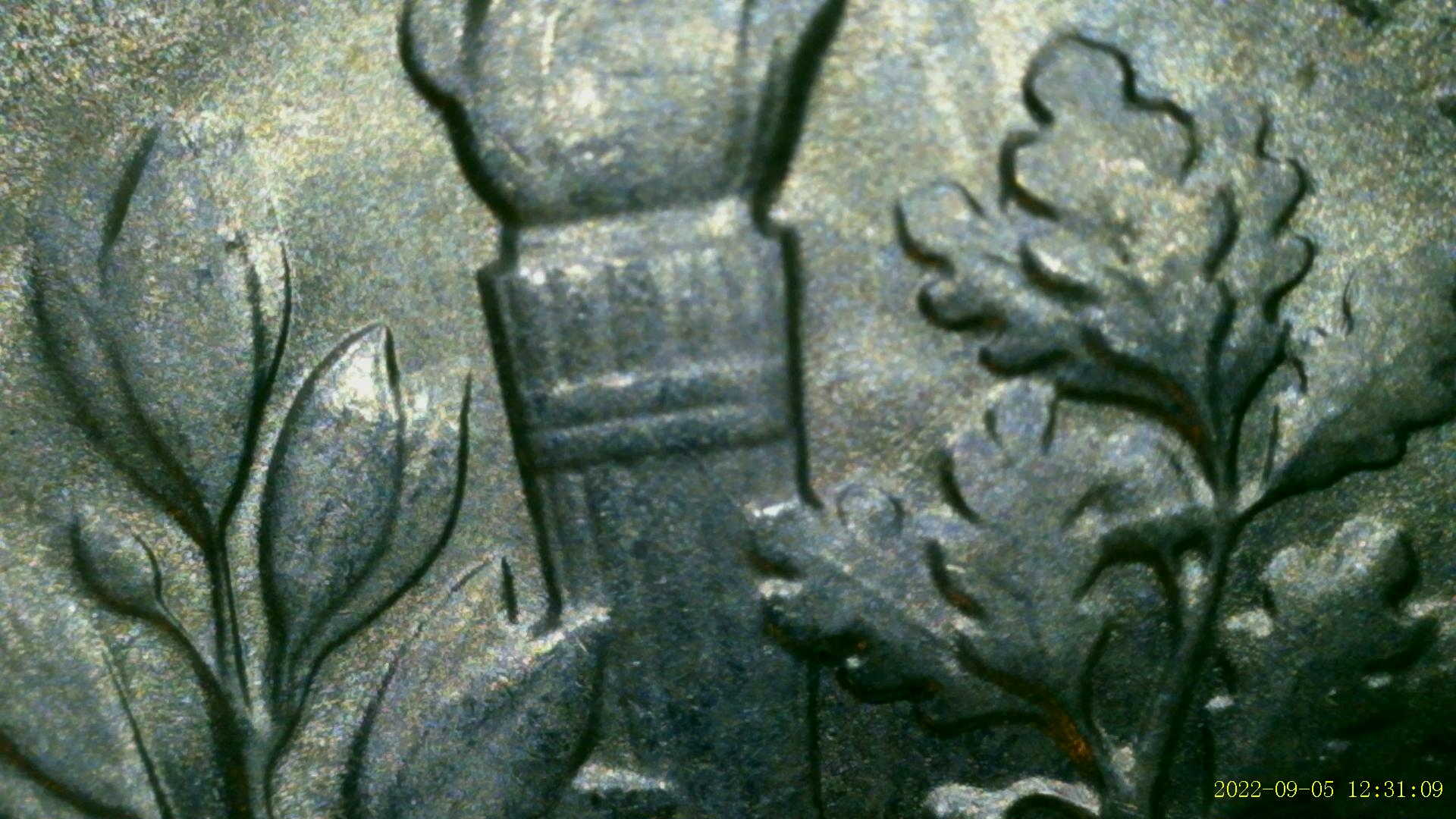 1955-D,-1955-S,-1956-D-Roosevelt-Dime---Full-Bars?