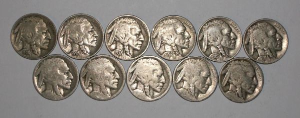 Found-A-Handful-Of-Buffalo-Nickels-CRHing-A-Bank-Bkx