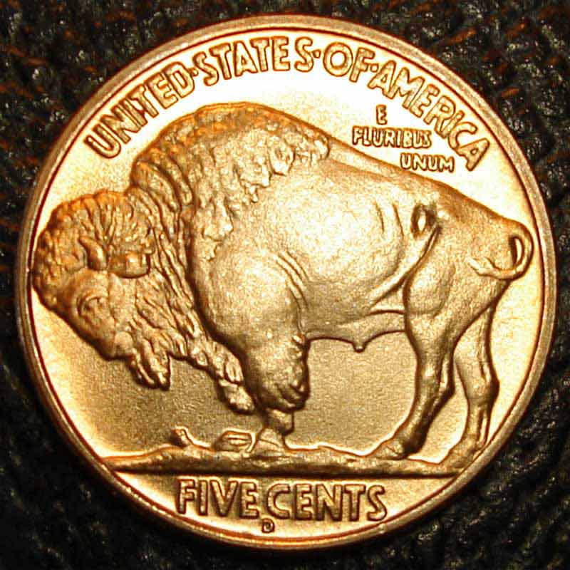 I-Got-A-Free-3-Leg-Buffalo!