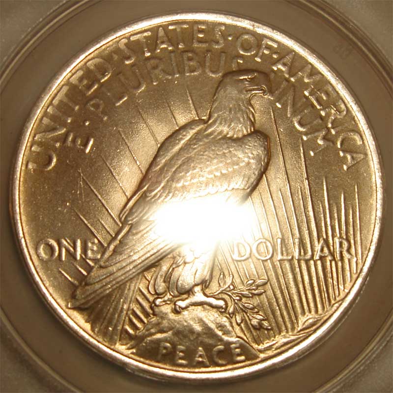 1923-Peace-Dollar-You--Vs-ANACS