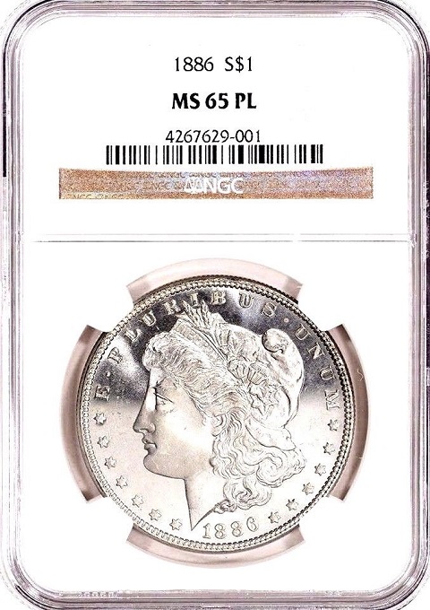 You-Vs-NGC-1886-Morgan-Grade-Posted