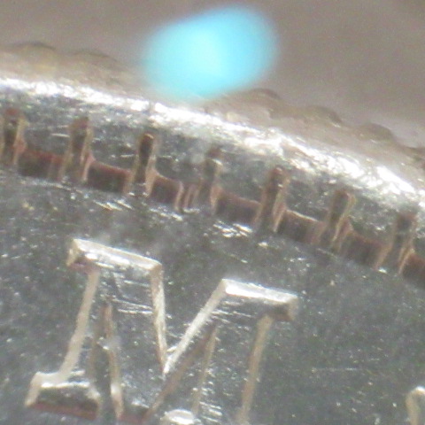Alligator-Eye?