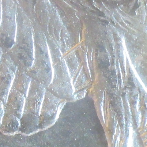 The-28-Days-Of-Morgan-Dollars!-Act-III