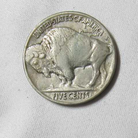 Green-Crud-On-Buffalo-Nickels