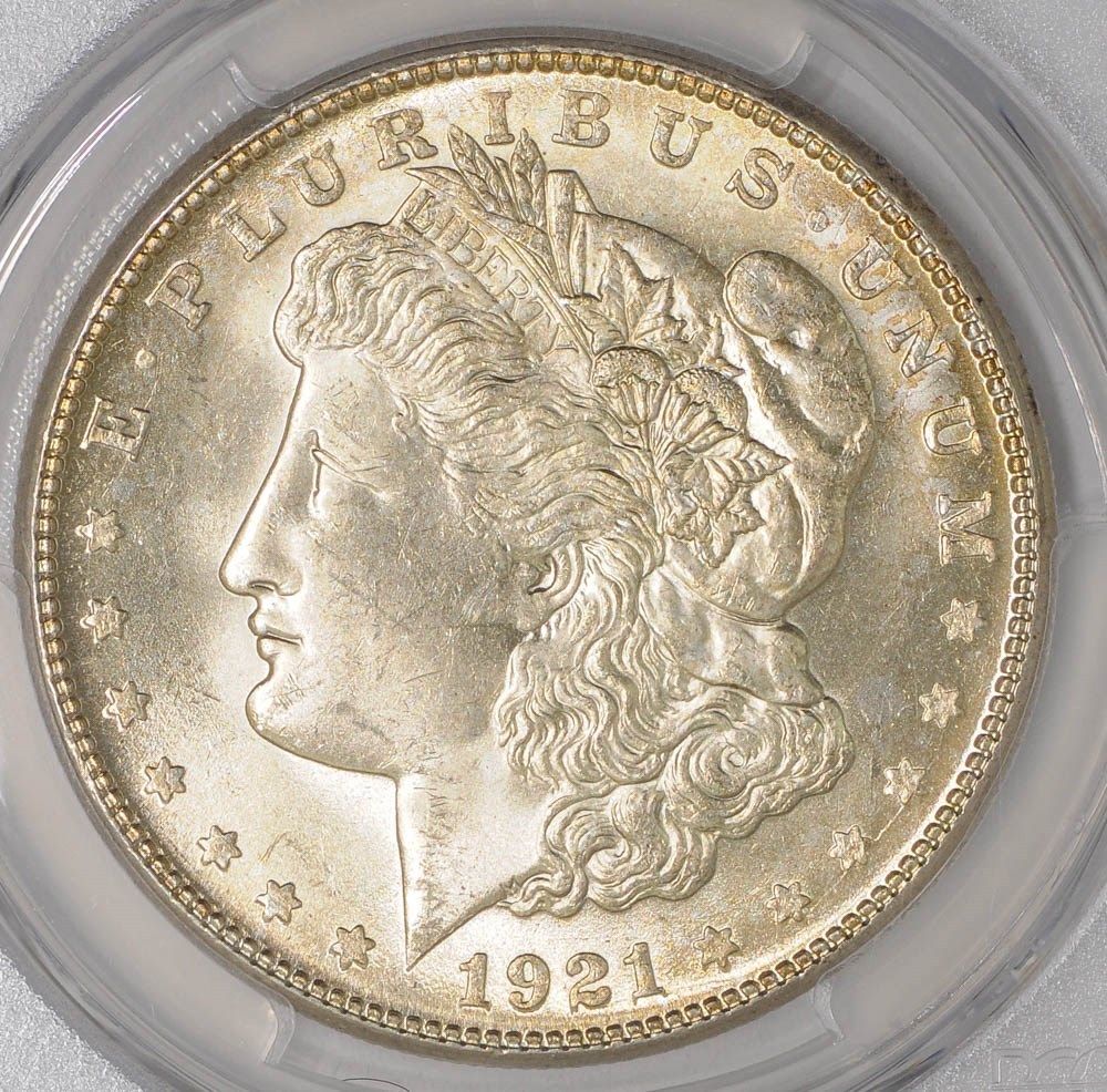 You-Vs-PCGS-1921-S-Morgan-Grade-Posted
