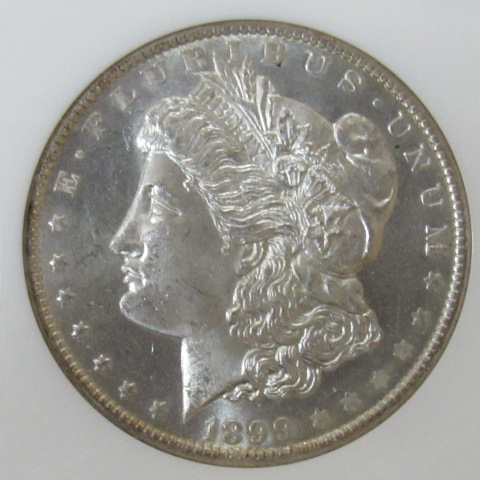 Please-Grade-1899-O-Morgan