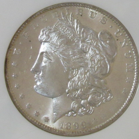 Please-Grade-1899-O-Morgan