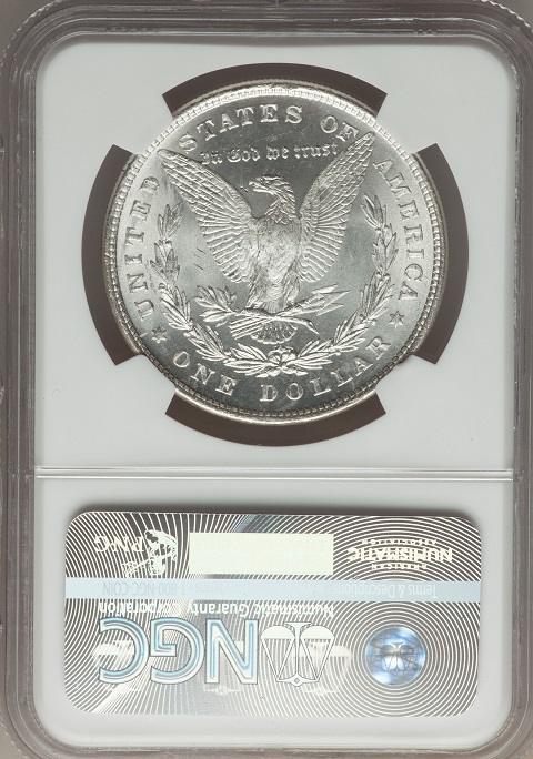 VAM-Collectors-Gone-Wild