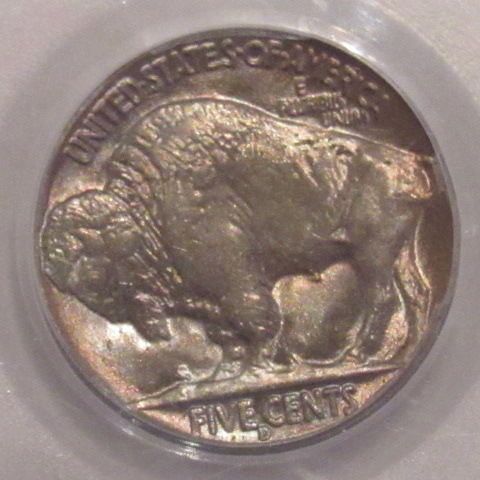 The-23-Days-Of-Buffalo-Nickels-Ii