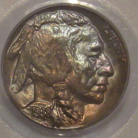 The-23-Days-Of-Buffalo-Nickels-Ii