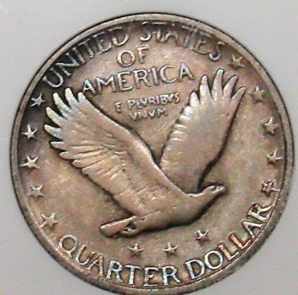 1918-D-Standing-Liberty-You-Vs-ANACS-#2