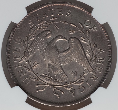 Mint-Plug-On-1795-Flowing-Hair-Dollar