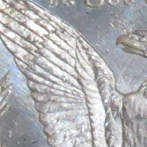PCGS-Called-This-1878-8TF-Morgan-Silver-Dollar-Cleaned---Do-You-Think-It's-Worth-Resubmitting?