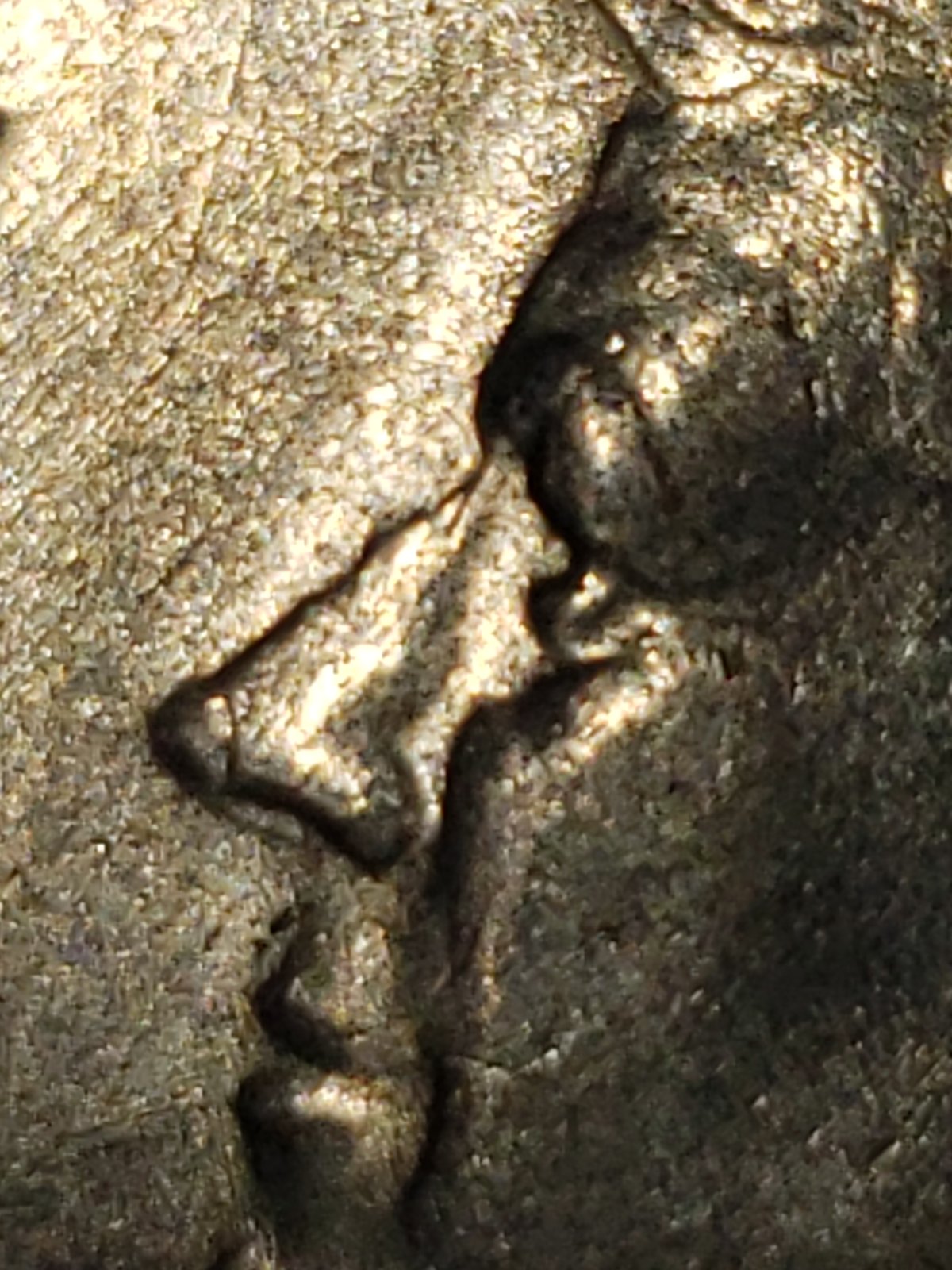 1972-Kennedy-Half-Dollar-Error?