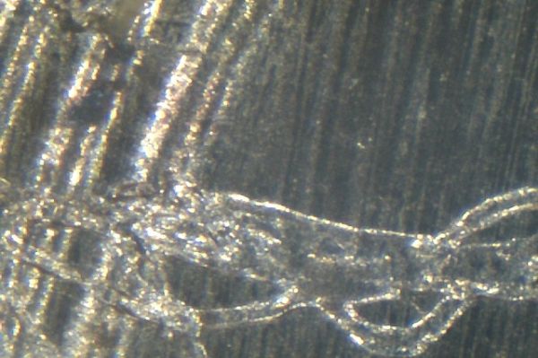 1957-Proof-Penny-Die-Cracks?