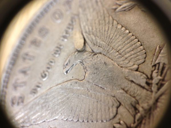 1884-Morgan$-Flaking-Metal