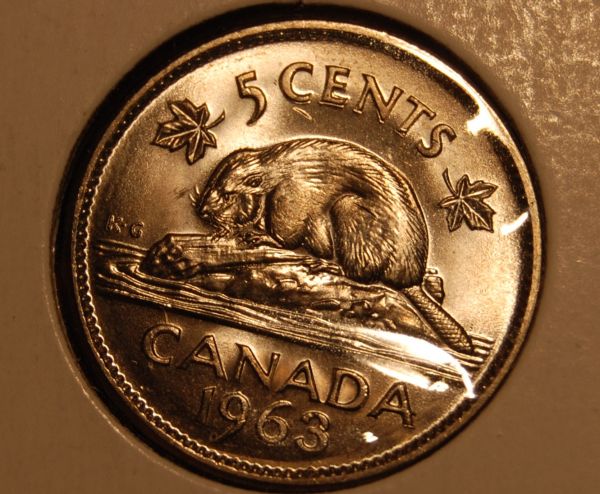 1963-5-Cents....beaver-With-Apparent-Concussion!