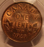Which-1929-High-9-Cent-Would-You-Keep?