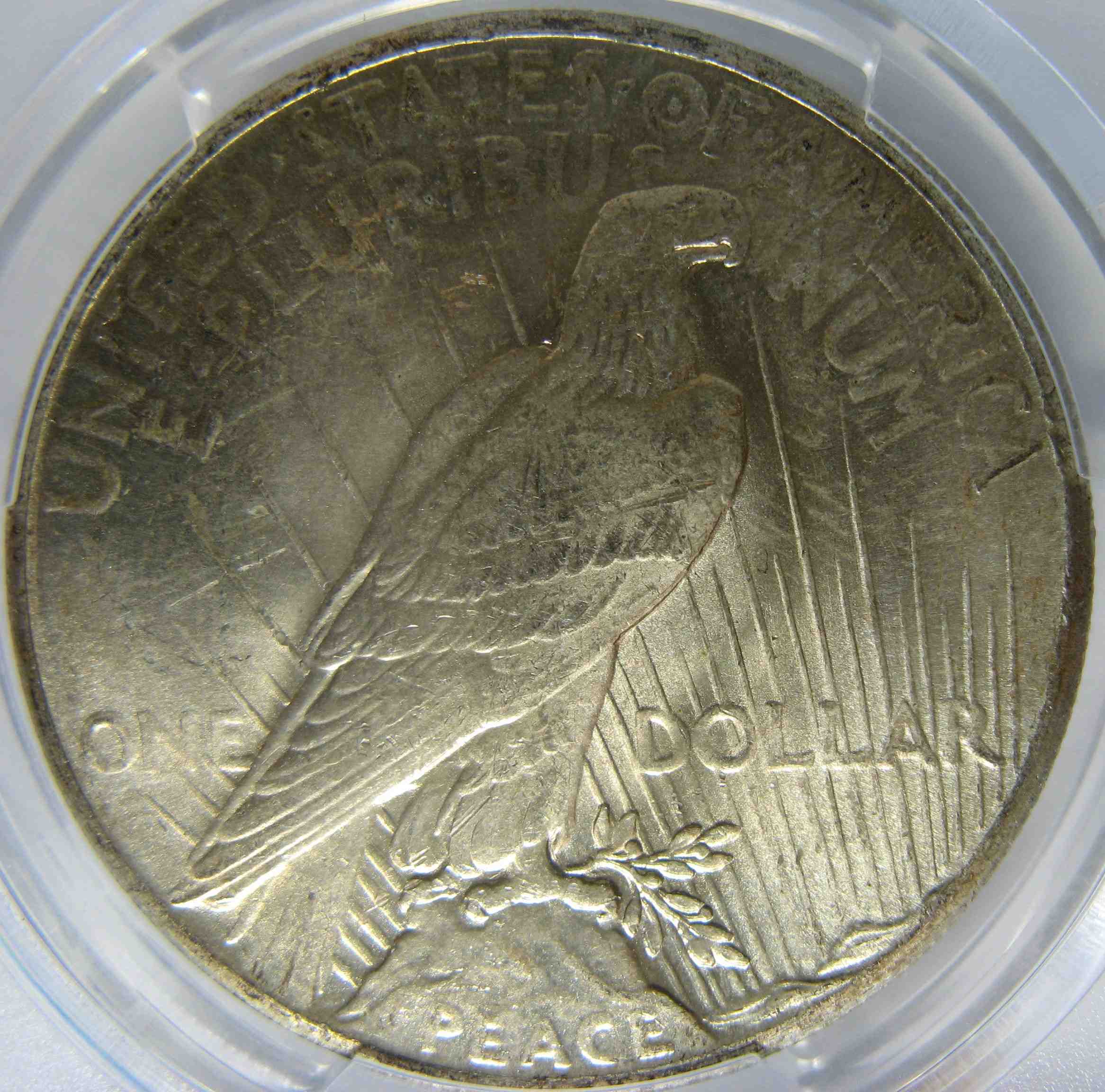 1926-Peace-Dollar-You-Vs-PCGS