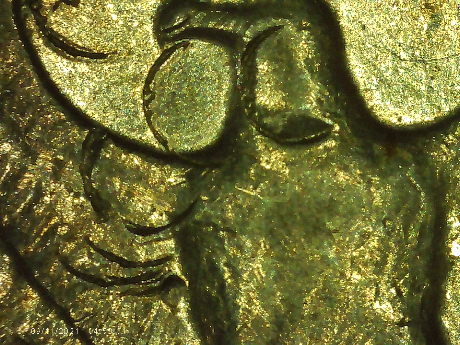1982-D-Quarter-What-Causes-The-Marks-On-The-Reverse