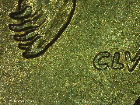 2008-P-Alaska-Quarter-Somethings-Wrong-With-The-Bears-Paw