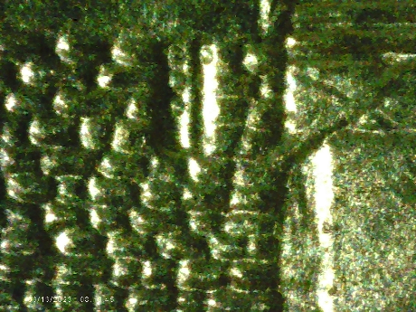 2017-P-Missouri-WDDR-021