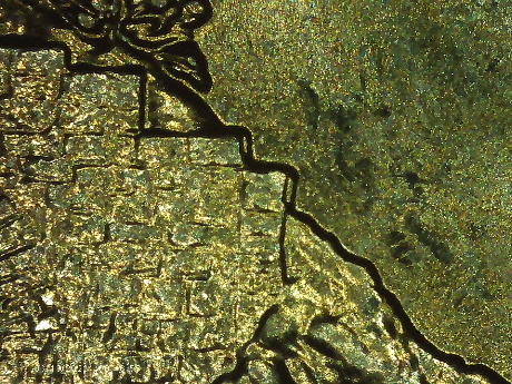 2015-D-North-Carolina-DDR-Dont-Think-Its-WDDR-01-But-Thats-The-Only-One-Listed