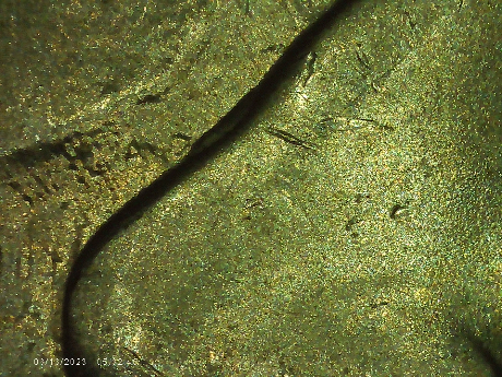 2013-P-South-Dakota-WDDR-011