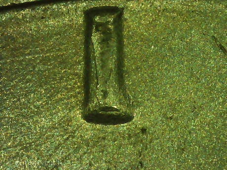 1982-D-Half-Dollar-With-Split-Tail-9---DDO?