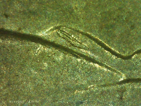 2013-P-White-Mountains-Extra-Ridgeline-Die-Chip?