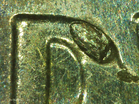 2019-D-Dime-Possible-Doubling-On-Leaf-On-Left-Side-Of-Torch-Also-Nice-Raisin-Die-Chip-On-D-Of-Dime