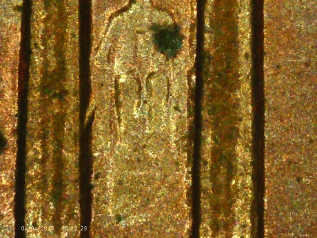 1998-P-Wide-AM-LMC-Possible-DDR-On-6th-Column-Next-To-Lincolns-Leg