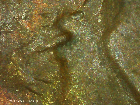 1952-D-LWC-Raised-Area-Above-Eyelid-Is-It-Die-Chip-Or-Moved-Metal?
