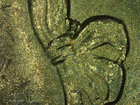 2021-P-CTD-Quarter-Looks-Like-Doubling-Of-The-Ribbon-In-Hair-Or-Die-Chip