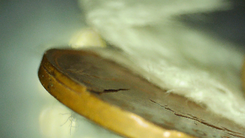 1973-Canadian-Penny-Is-This-A-Lamination-Error-On-Obverse-Of-Coin