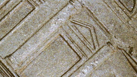 1999-P-Jefferson-Nickel,-Insane-DDR-Or-Crazy-MD?