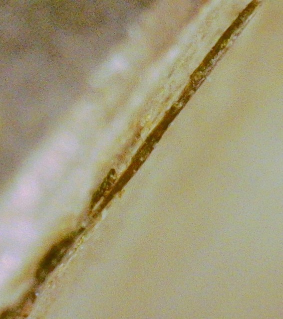 2017-P-Jefferson-Nickel,-Struck-Thru-With-Retention,-Possible-DDO